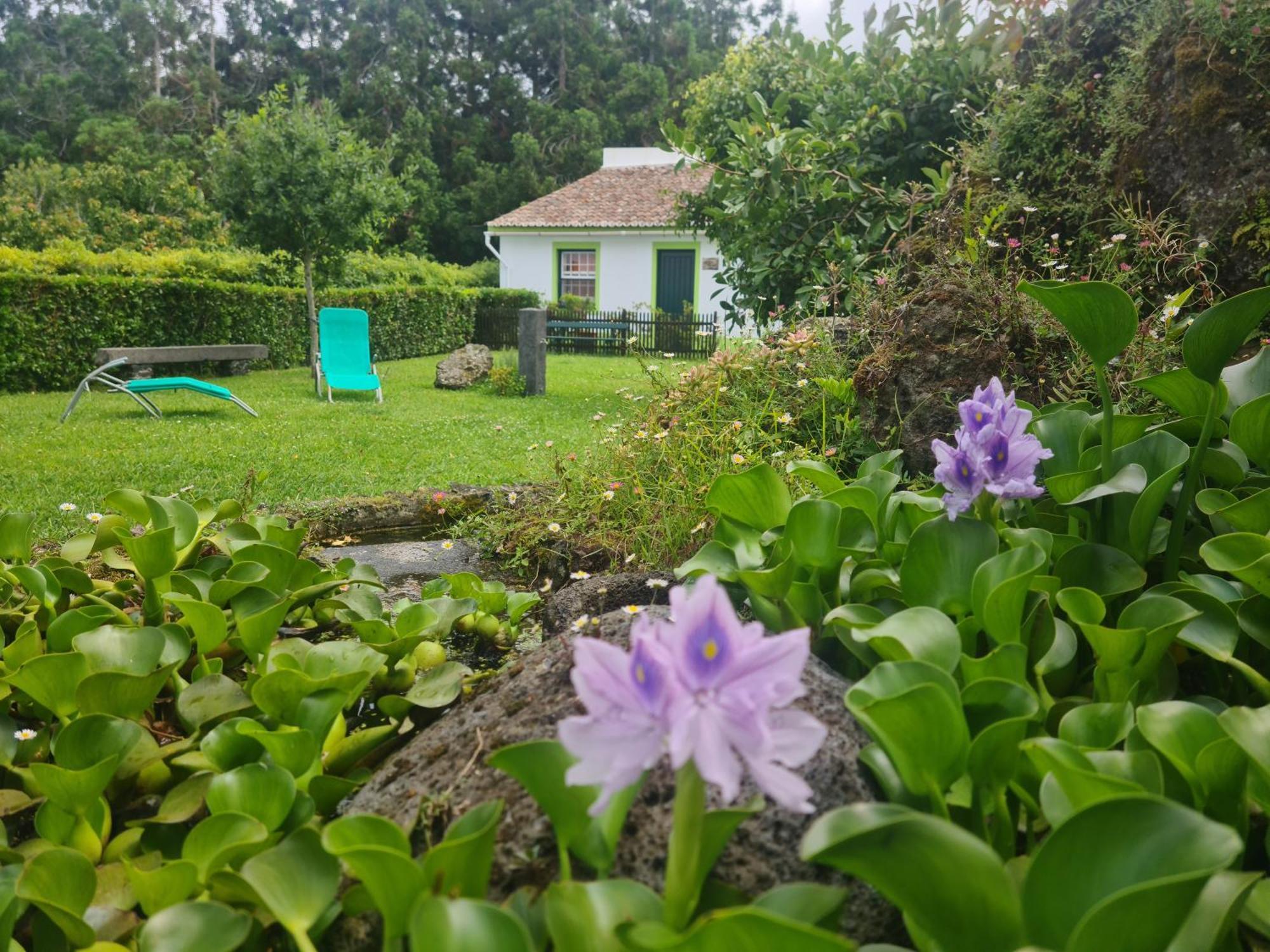 Stonewood Lodge Al São Vicente Ferreira Екстериор снимка